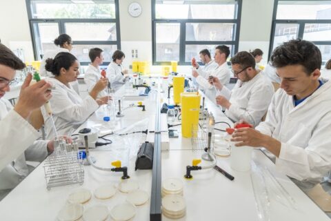 BTS ANABIOTEC - WAGNONVILLE